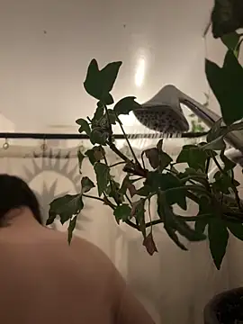 crashnasty online show from 28, 4, 2026