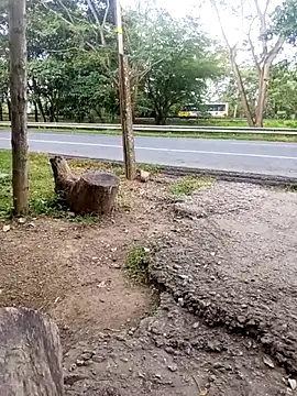 Snapshot of charlotte_dante212 chatting on 23, 11, 2025 charlotte dante212 online show from 23, 11, 2025