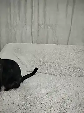 Layla fontainex x online show from 29, 9, 2025