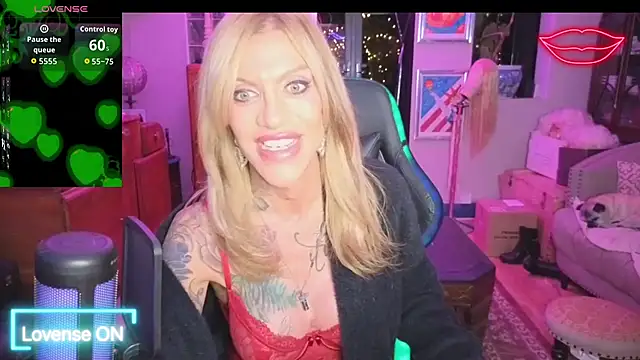 xl uk top trans online show from 21, 4, 2026