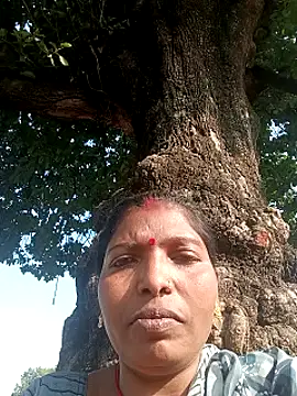 Jivika Jaiswal online show from 10, 11, 2025