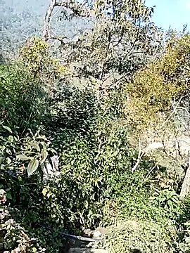 Snapshot of xinhxinhcute chatting on 1, 12, 2025 xinhxinhcute online show from 1, 12, 2025