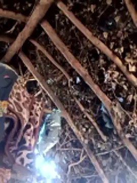 Hot rachnasexy online show from 9, 3, 2026