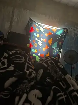 Snapshot of FromVnz chatting on 15, 11, 2025 FromVnz online show from 15, 11, 2025