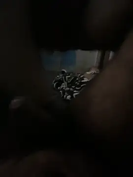 Snapshot of FromVnz chatting on 21, 11, 2025 FromVnz online show from 21, 11, 2025