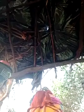 H seema online show from 9, 2, 2026