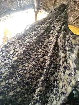 LUCKY cut online show from 20, 10, 2025