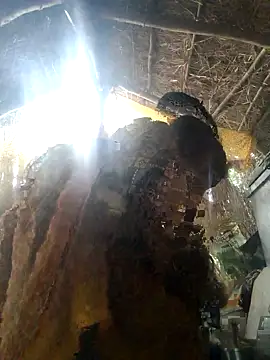 LUCKY cut online show from 22, 11, 2025