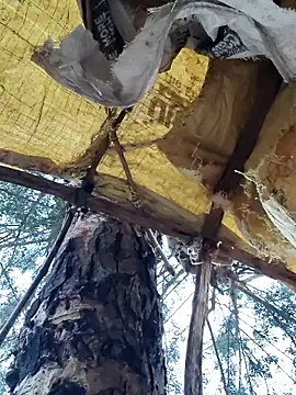 Janvi Jaitly online show from 23, 11, 2025