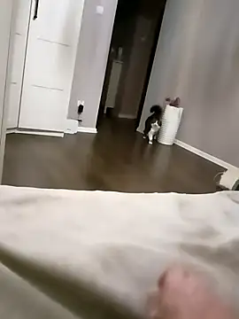 Snapshot of NiceBadgera chatting on 10, 10, 2025 NiceBadgera online show from 10, 10, 2025