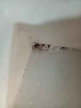 Punam jindal online show from 7, 10, 2025