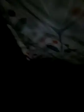 8133vaibhavh online show from 4, 2, 2026