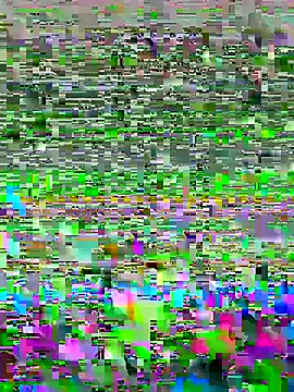 Snapshot of luzmelzinha chatting on 2, 5, 2026 luzmelzinha online show from 2, 5, 2026