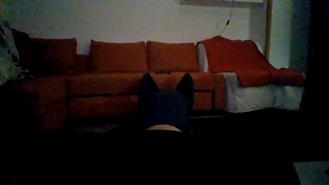 AntonioNice iml online show from 2, 11, 2025