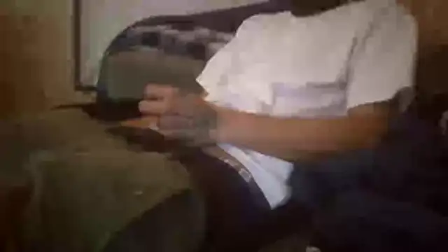 Sillycatfish online show from 7, 11, 2025