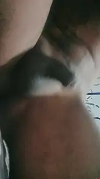 ElRompeponchi online show from 28, 9, 2025