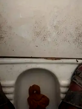 haryanaboypanipat12 online show from 17, 3, 2026