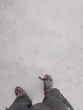 haryanaboypanipat12 online show from 19, 4, 2026