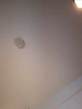 Snapshot of Andrestarr chatting on 11, 3, 2026 Andrestarr online show from 11, 3, 2026