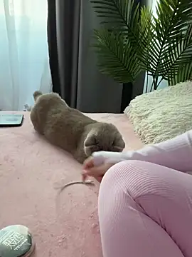 Snapshot of Andrestarr chatting on 14, 3, 2026 Andrestarr online show from 14, 3, 2026