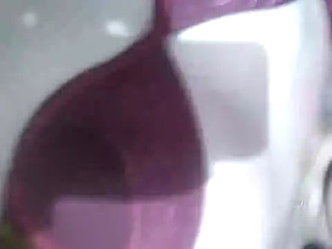 Snapshot of Cachorrinha2025 chatting on 21, 9, 2025 Cachorrinha2025 online show from 21, 9, 2025