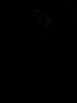 UnhopedDear online show from 25, 3, 2026