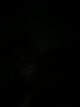 RangingWarranty online show from 20, 10, 2025