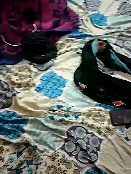 Snapshot of monarani5986 chatting on 20, 11, 2025 monarani5986 online show from 20, 11, 2025