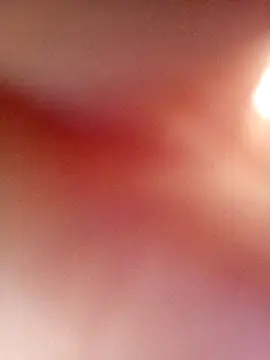 Jarektchurzewski online show from 23, 4, 2026