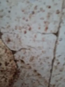 goodzx2 online show from 16, 9, 2025