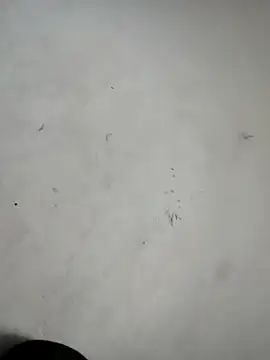 Snapshot of ndon63421 chatting on 3, 10, 2025 ndon63421 online show from 3, 10, 2025