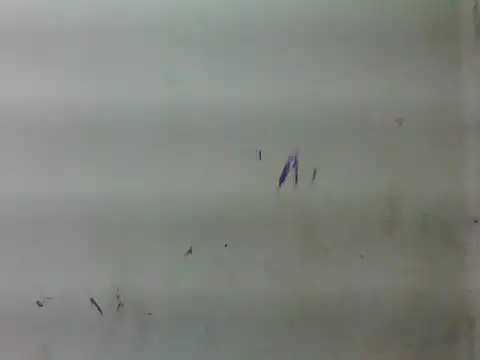 sweet bella16 online show from 16, 1, 2026