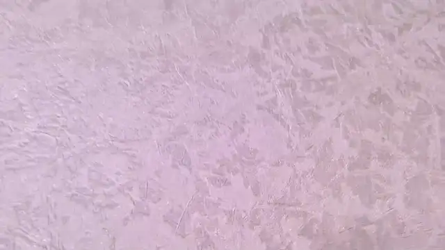 paulina cano online show from 21, 12, 2025