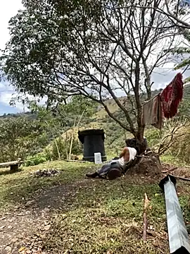 sky-wolves online show from 21, 9, 2025