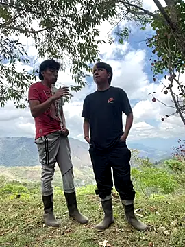 sky-wolves online show from 29, 9, 2025