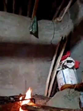 donna-bae online show from 18, 11, 2025