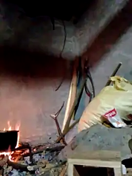 donna-bae online show from 22, 3, 2026