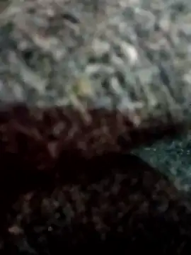 Hott locky online show from 13, 12, 2025