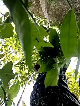 Snapshot of callistra chatting on 30, 10, 2025 callistra online show from 30, 10, 2025