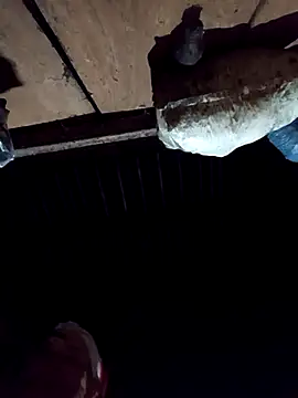 Snapshot of callistra chatting on 2, 12, 2025 callistra online show from 2, 12, 2025