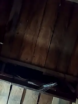 callistra online show from 11, 4, 2026