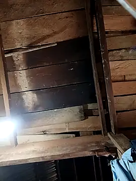 callistra online show from 24, 4, 2026