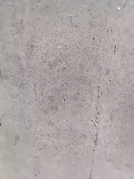 Biu xx online show from 24, 2, 2026