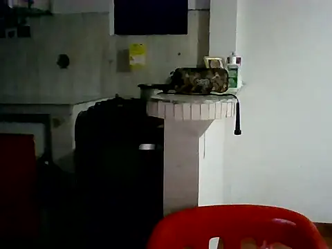 Snapshot of XavierFox1 chatting on 18, 11, 2025 XavierFox1 online show from 18, 11, 2025