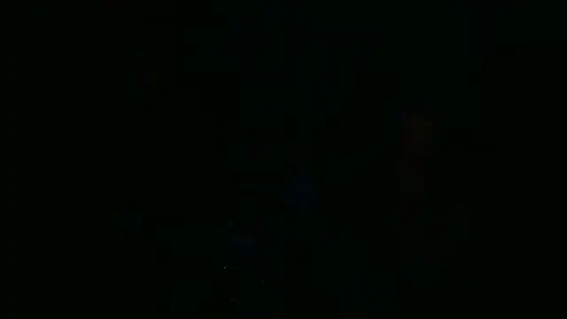 P4NT0J4 online show from 8, 3, 2026