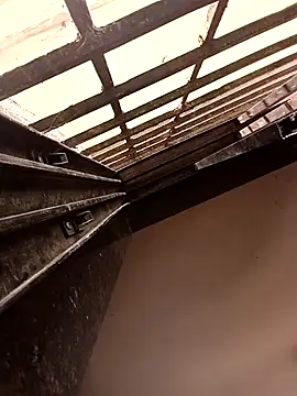 ipvk online show from 19, 3, 2026