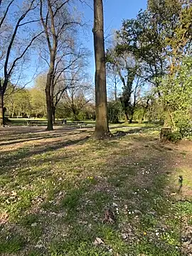 fioralba online show from 27, 3, 2026