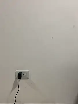 Rouse Monroe online show from 29, 4, 2026