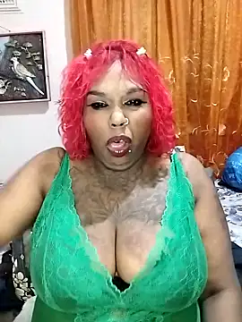 Javel123 online show from 10, 5, 2026