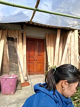 diamond-- online show from 14, 11, 2025